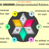 अन्तर सरकार व्यवस्थापन (IGM)